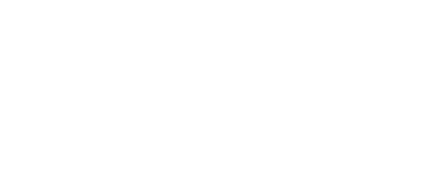 SkyNet Business Services